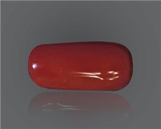 Red Coral (Moonga) Natural Certified 7.72 Ratti ( 84732 )